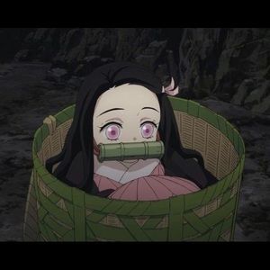 Meet your Posher, Kayce